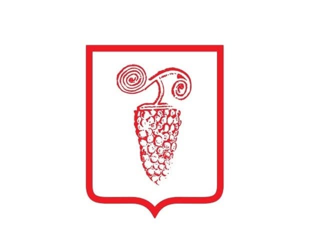 wine.gov.ge logo