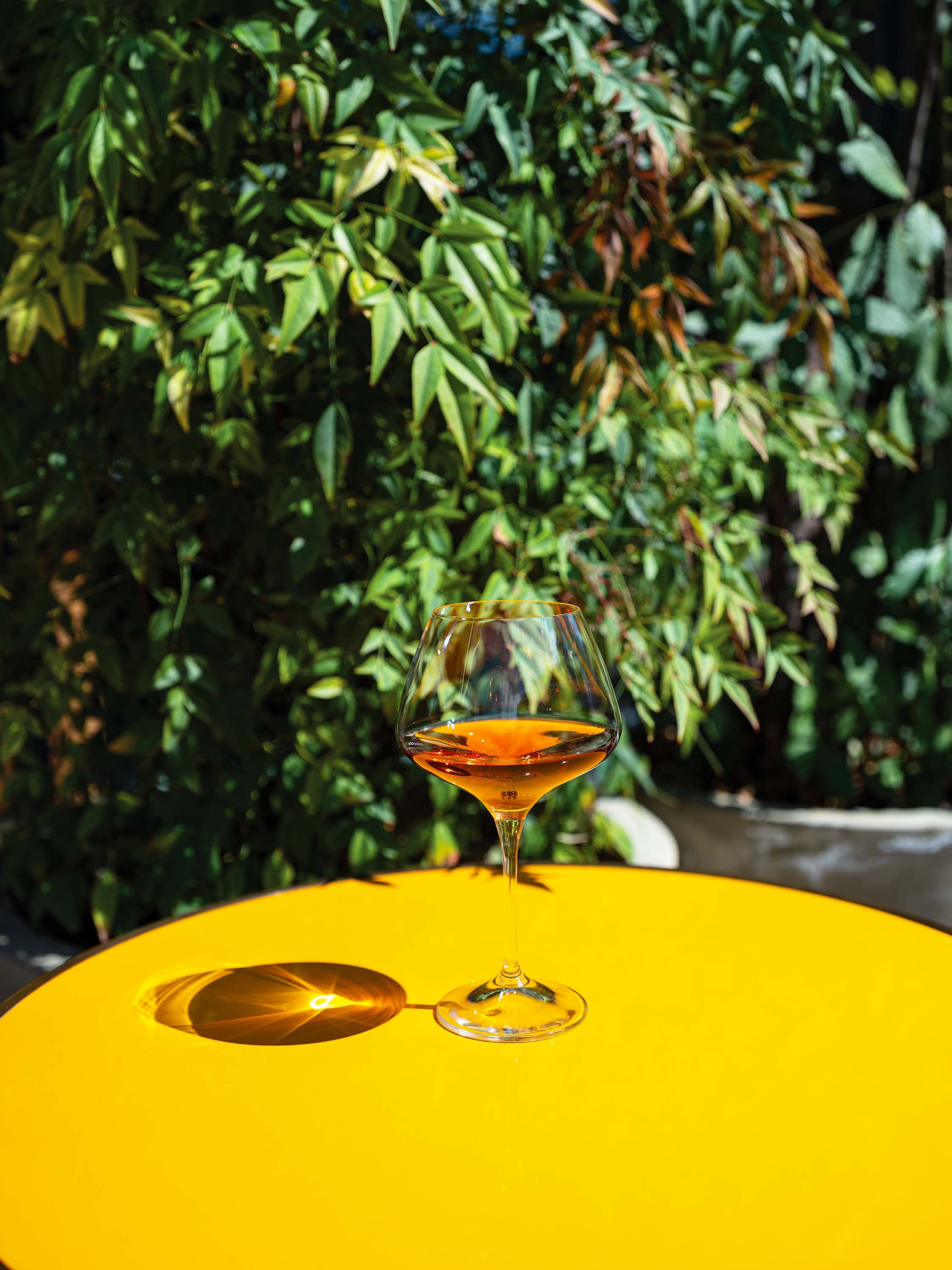 Rose Wines